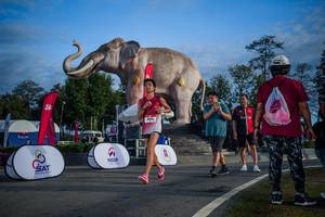 BIB: 
                            <button type="button" onclick="openModal(26541867)" class="btn btn-primary btn-sm float-right btn-popup" data-toggle="modal" data-target=".modal-high-quality">
                        <i class="fas fa-shopping-cart"></i> Add to Cart
                    </button>
                                            <button type="button" onclick="isThisMe(26541867, true)" class="btn btn-success btn-sm float-right btn-popup btn-isme hidden" data-toggle="tooltip" data-placement="bottom" title="นี่คือรูปของคุณใช่ไหม คลิกที่นี่เพื่อเอาเข้าอัลบั้ม">
                        <i class="fas fa-plus"></i> Add to album
                    </button>
                    <button type="button" onclick="isThisMe(26541867, false)" class="btn btn-warning btn-sm float-right btn-popup btn-isnotme hidden">
                        <i class="fas fa-ban"></i> Remove from album
                    </button>